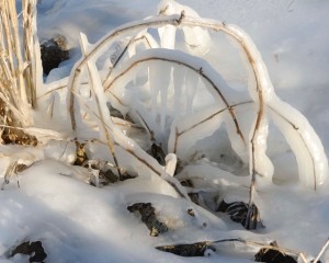 FrozenShoreline      