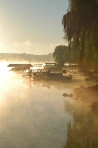 Lake shore      